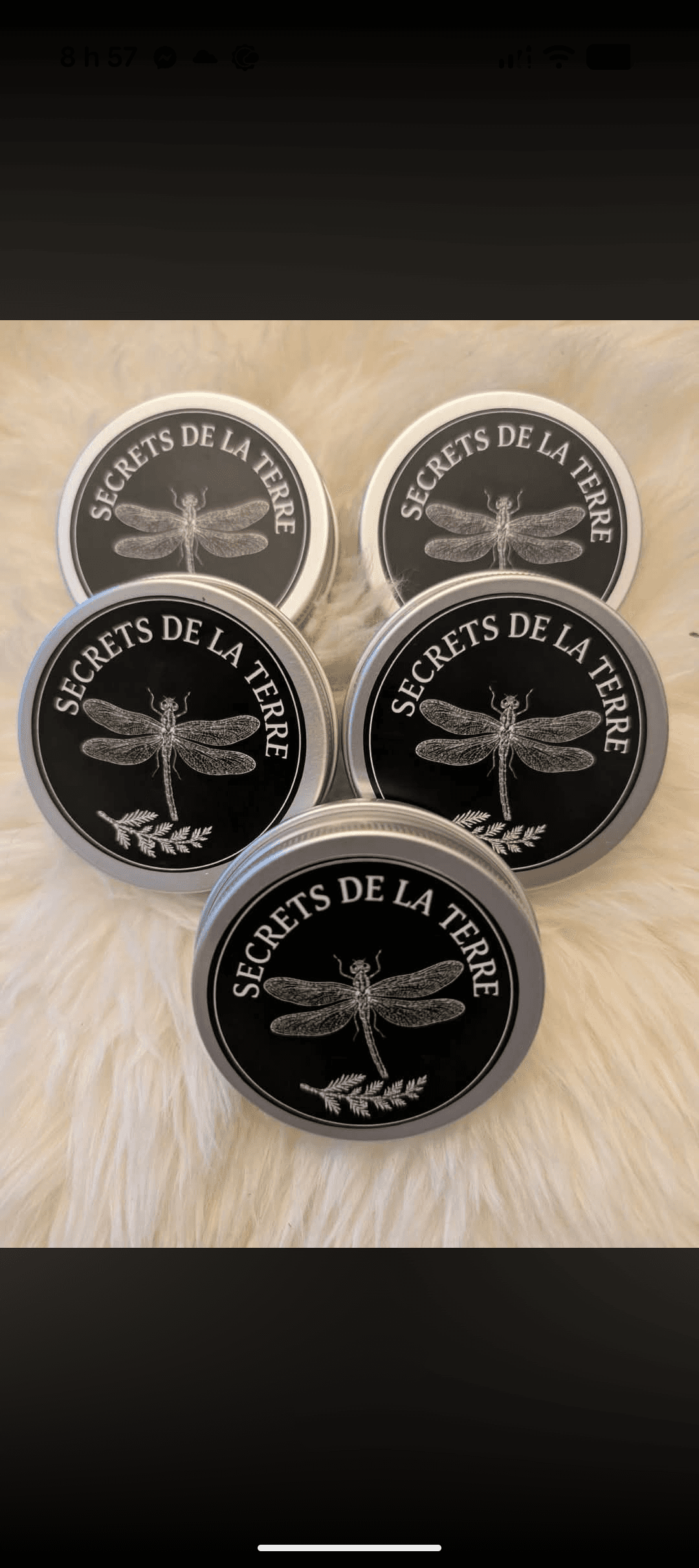 Baume boréal 